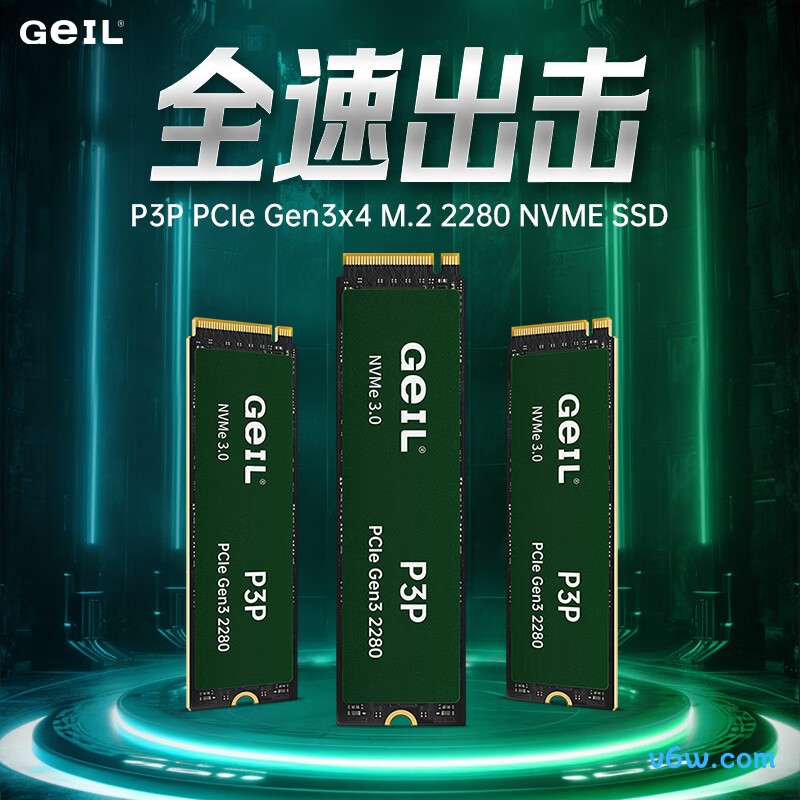 GEIL金邦 1TB SSD固态硬盘 P3P系列