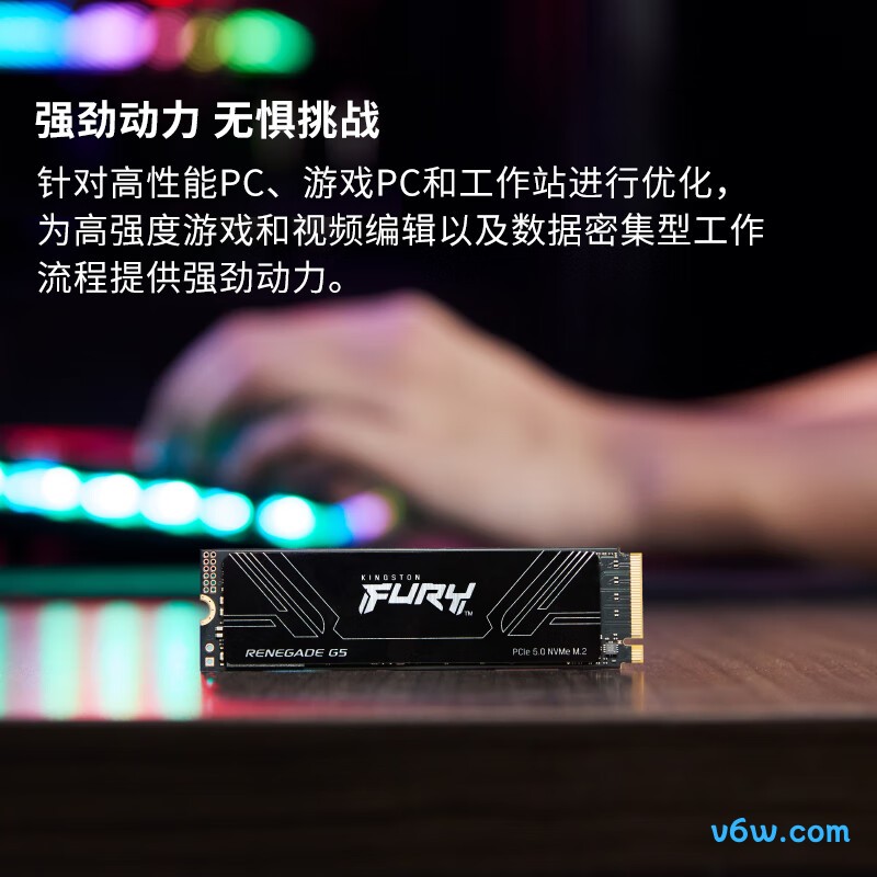 金士顿2TB SSD固态硬盘 FURY RenegadeSSD固态硬盘图片
