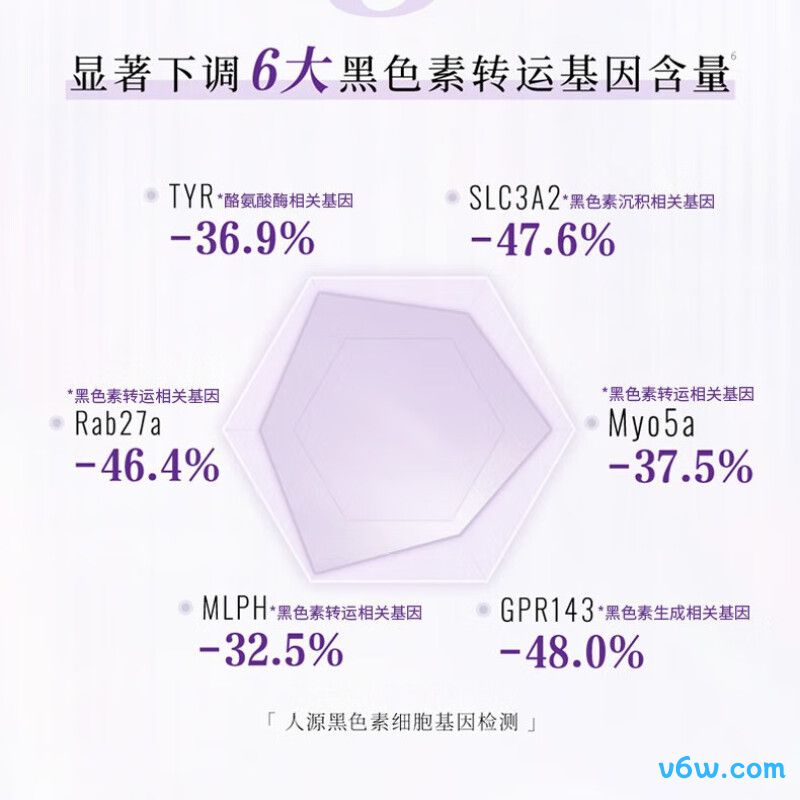 佰草集大白泥面膜