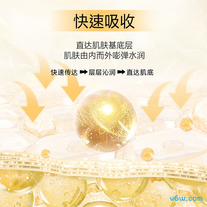 AHC胶原蛋白安瓶精华液
