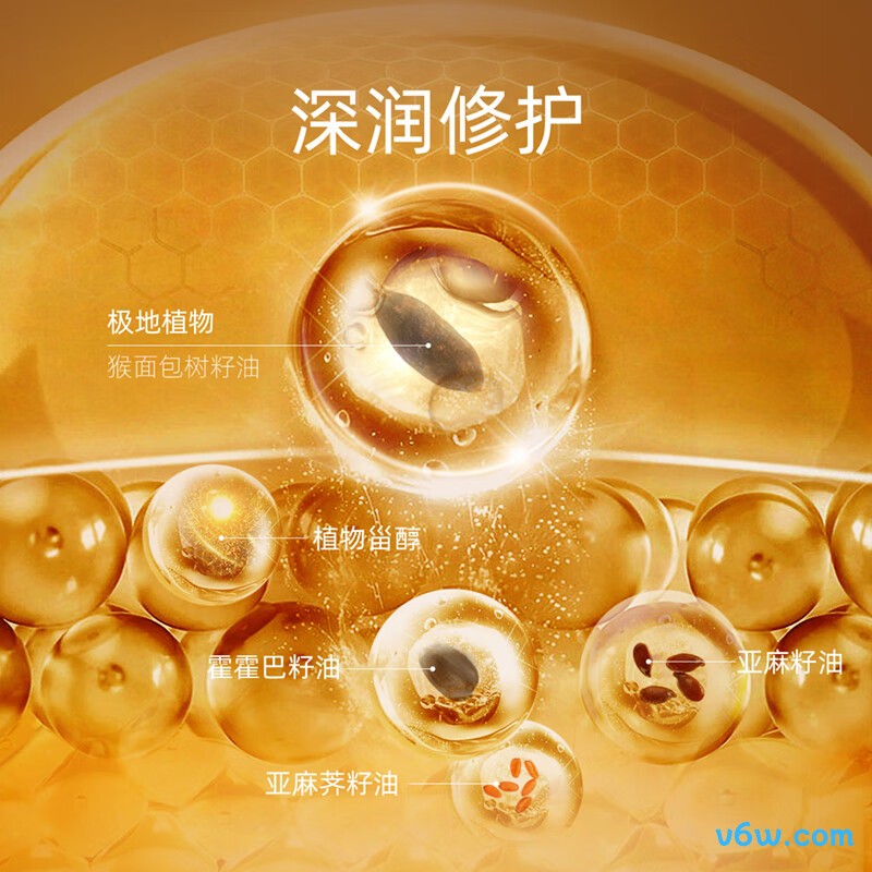 阿芙11籽精华油