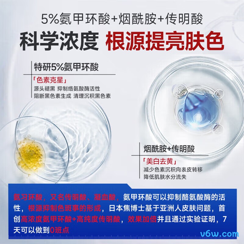 焦博士日本氨甲环酸精华液