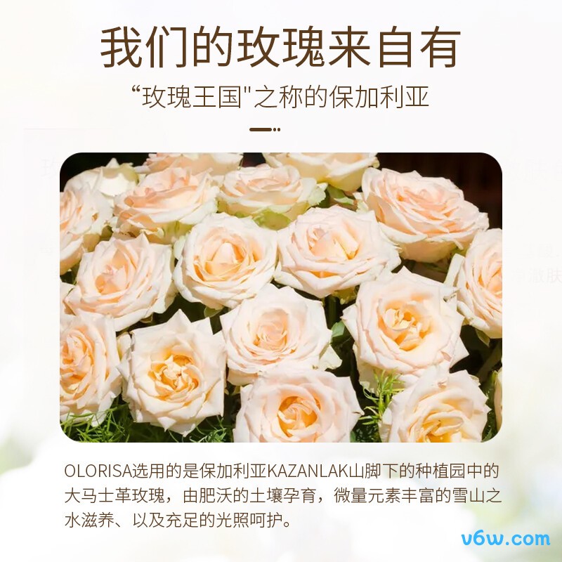 OLORISA面部精华油