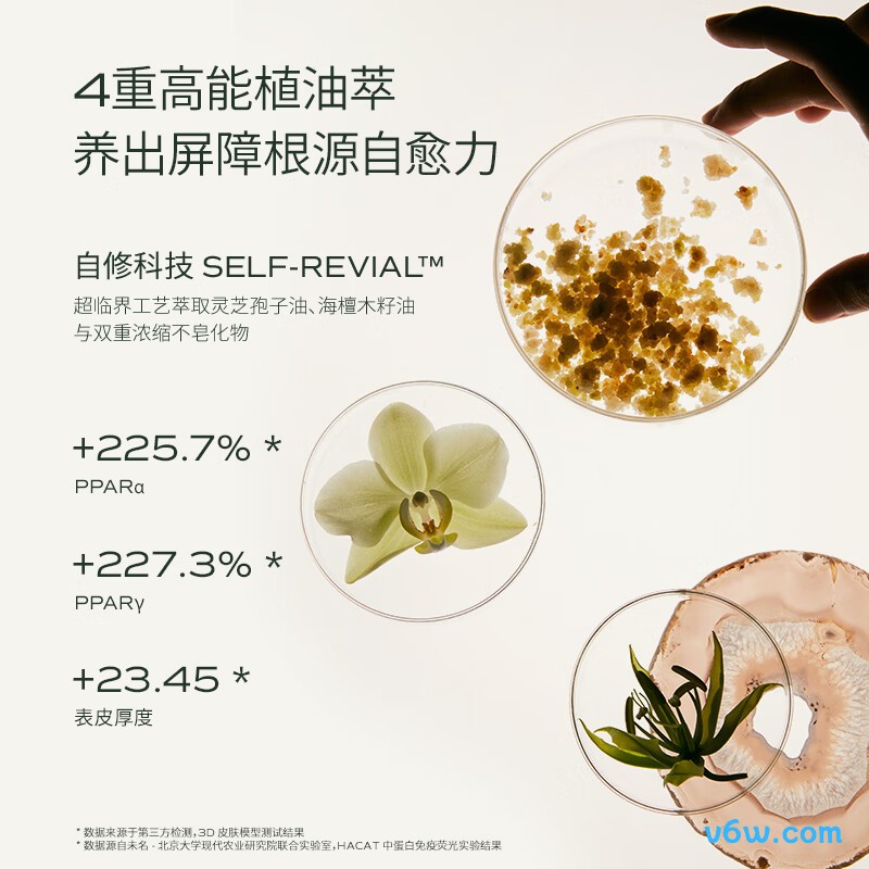 蘭兰3.0时光油