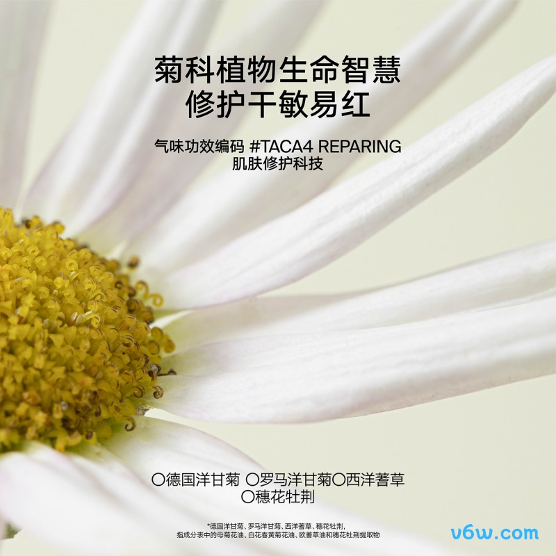 雏菊的天空翡冷翠修护精华油