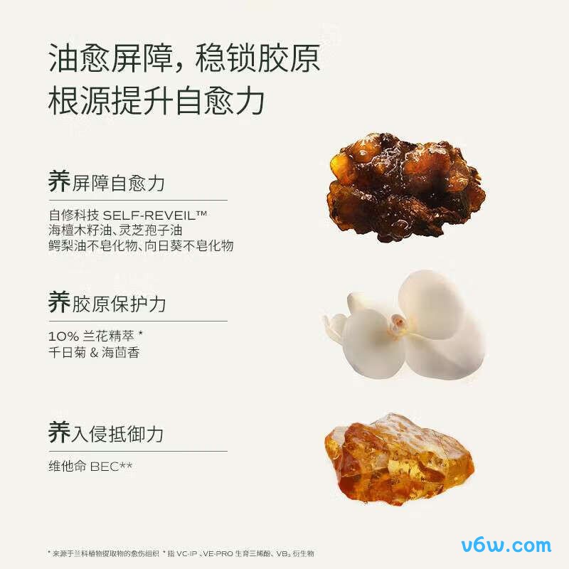 蘭兰3.0时光油