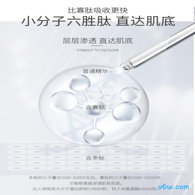 透真六胜肽抗皱紧致精华液