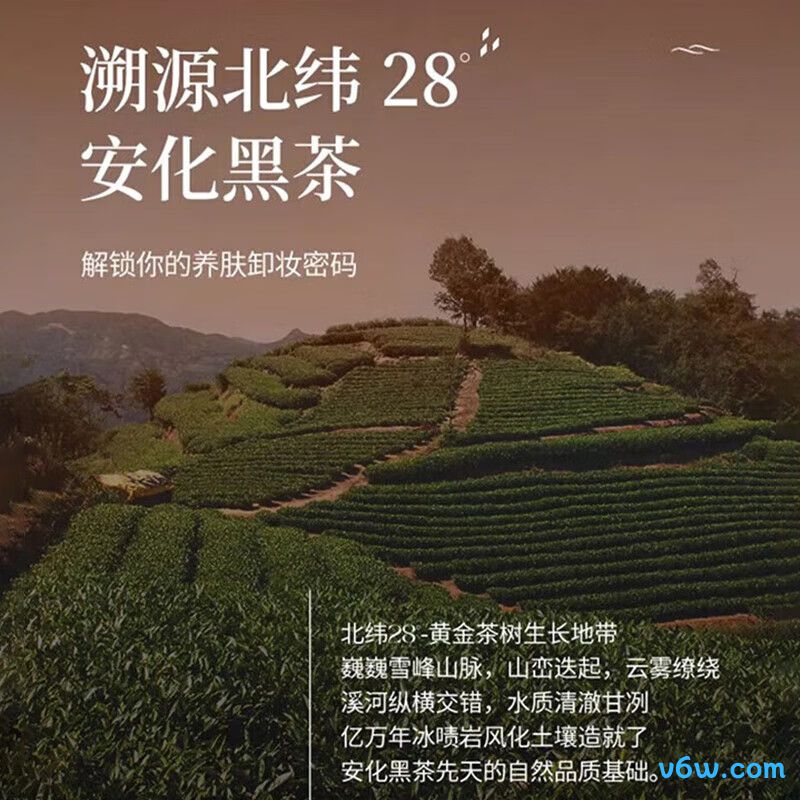 TUNKO黑茶卸妆油卸妆油图片