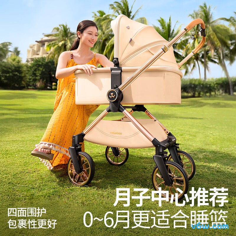 唯乐宝D900轻便婴儿推车图片